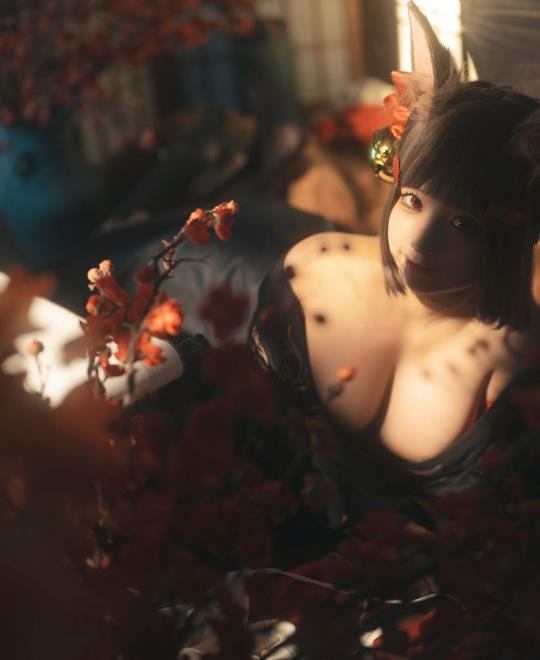 ɫ��ɫ��ַ��ȫ